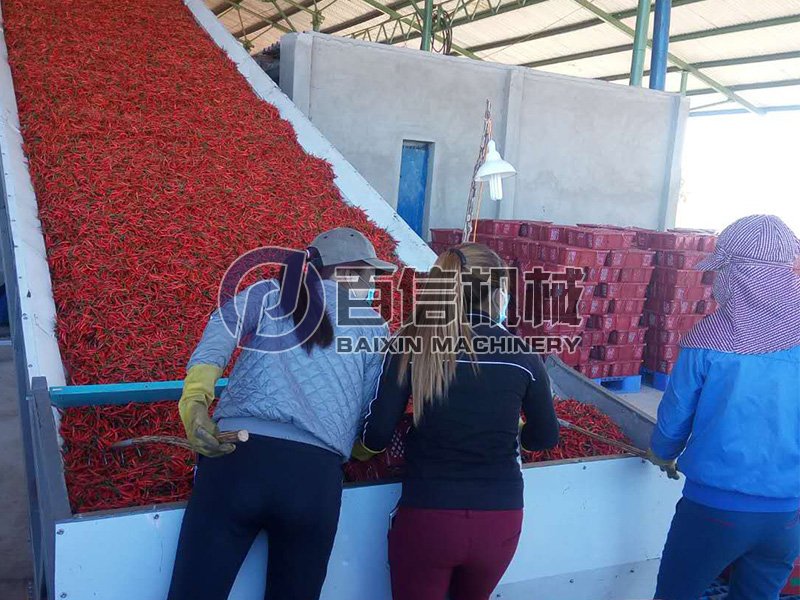 <b>果蔬脫水加工用什么干燥設(shè)備？ </b>