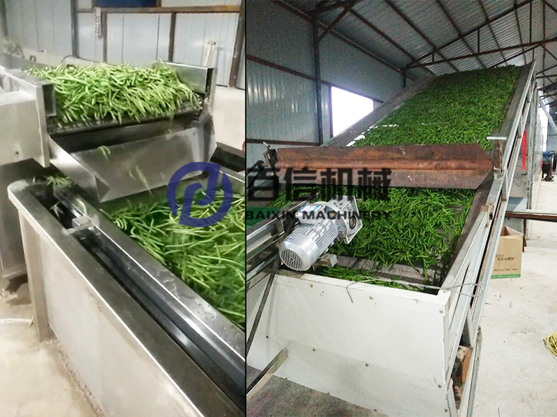 豆角烘干機(jī) -豆角烘干機(jī)設(shè)備