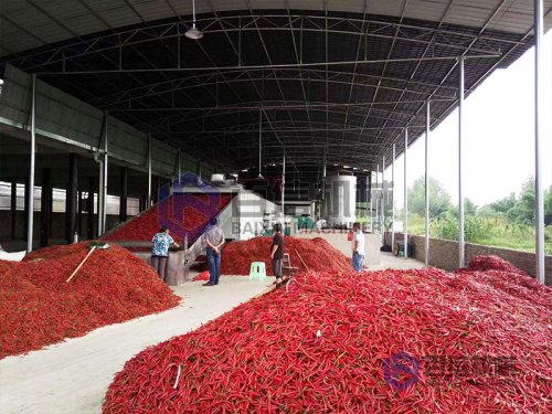 2020年辣椒烘干設(shè)備投資前景如何？