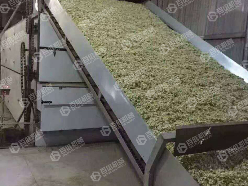 槐花烘干機(jī)-洋槐花烘干機(jī)-槐花