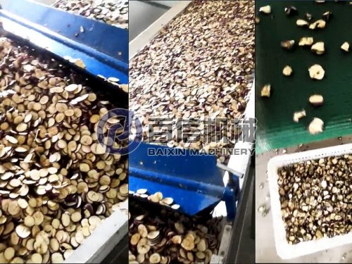 客戶訂購的果蔬烘干生產(chǎn)線現(xiàn)已投產(chǎn)