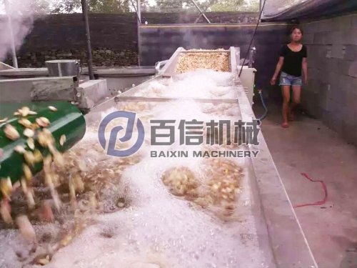  如何將新鮮的百合加工成百合干片？百合加工工藝