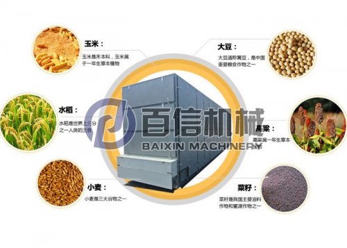 又是一年收獲季糧食烘干作業(yè)正酣!