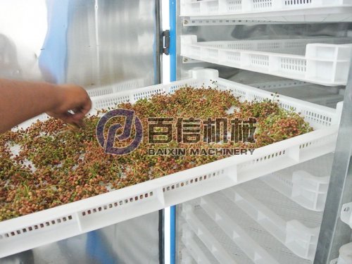 如何正確選購花椒烘干機？