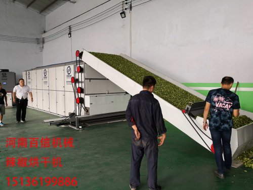 全自動(dòng)辣椒烘干機(jī)操作簡(jiǎn)單 可提升辣椒經(jīng)濟(jì)效益