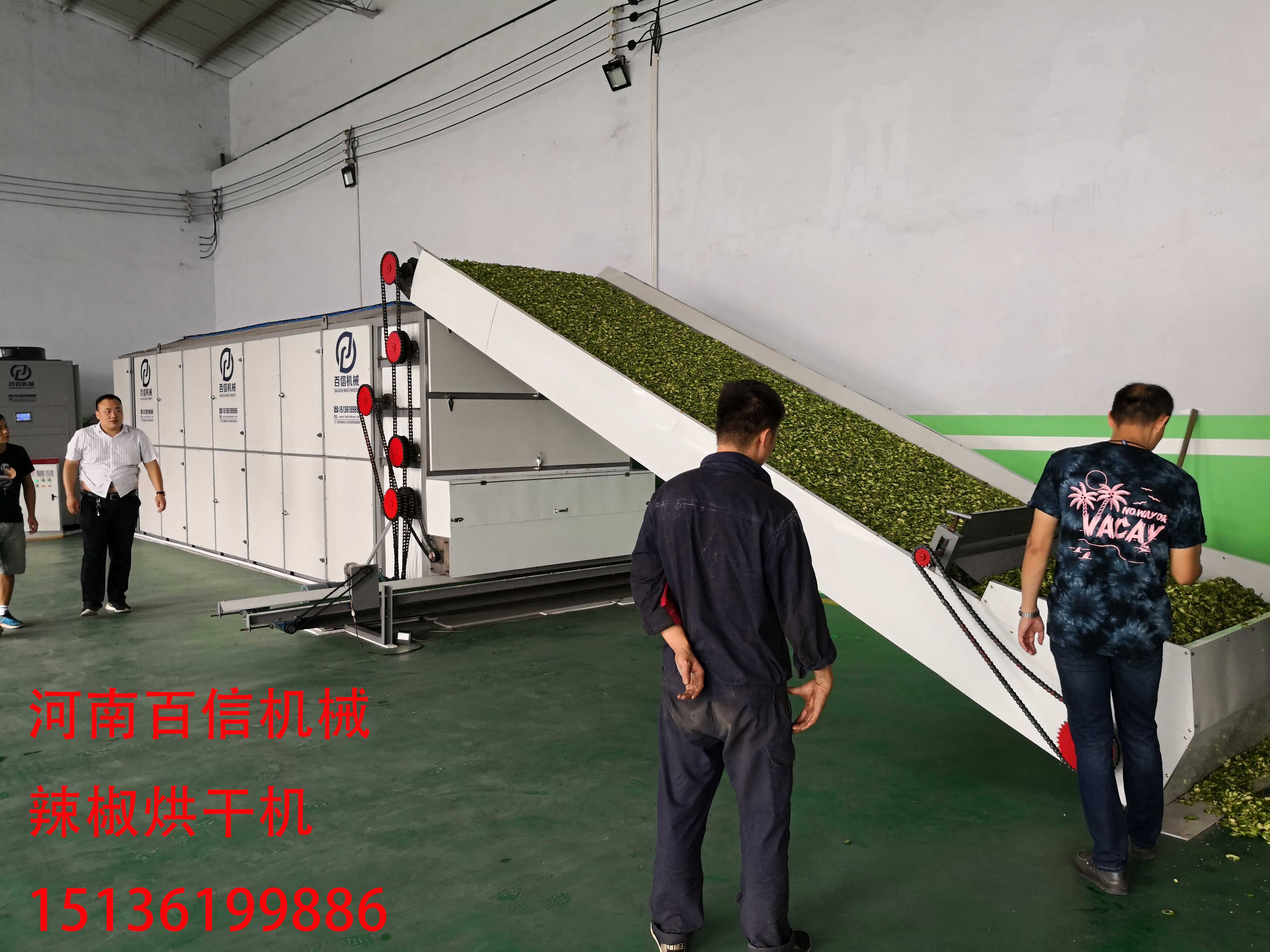 全自動辣椒烘干機操作簡單 可提升辣椒經(jīng)濟效益