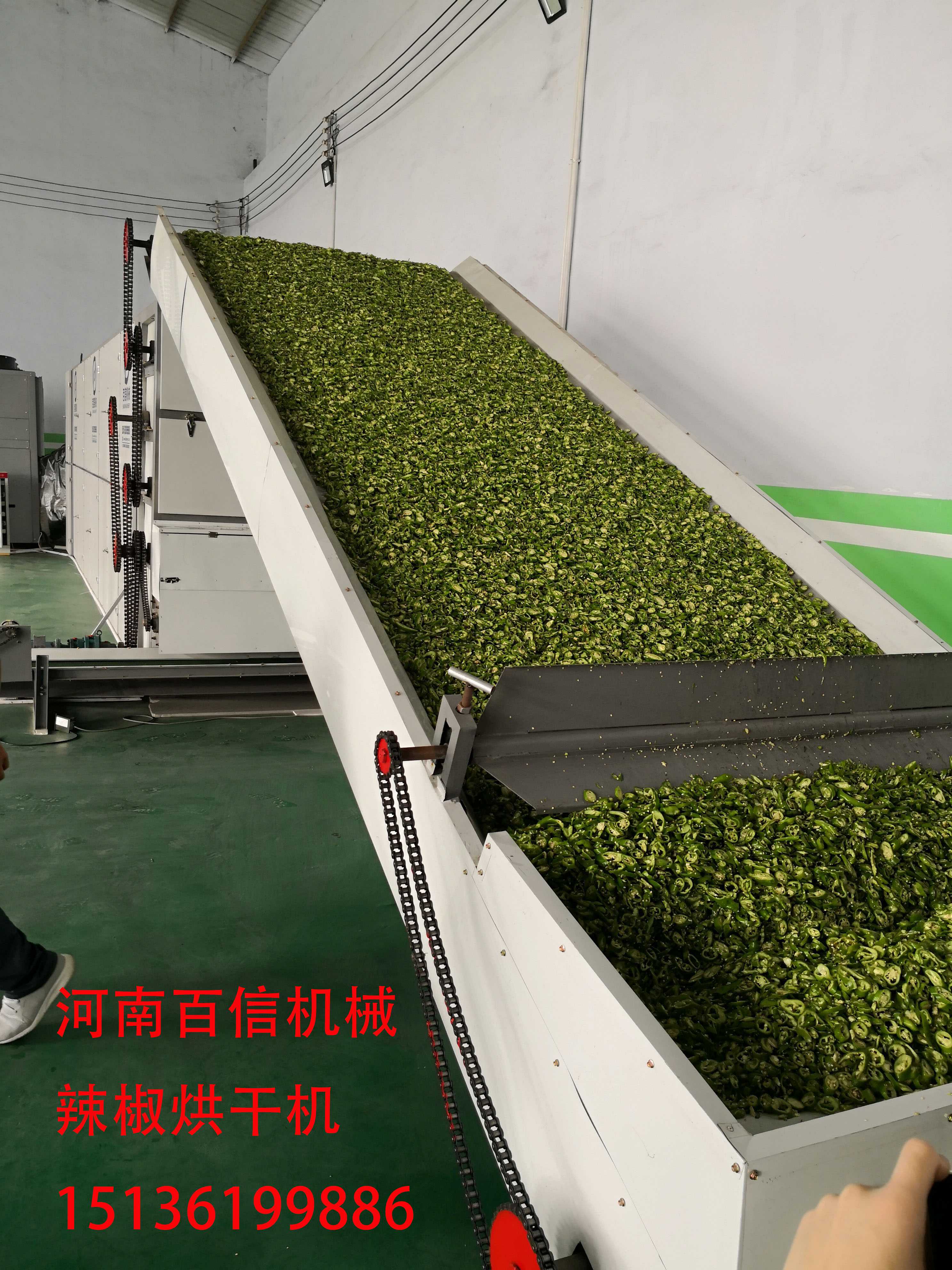 辣椒花椒網(wǎng)帶烘干機(jī)會是“新網(wǎng)紅”嗎