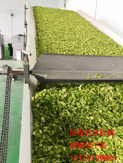 辣椒烘干設(shè)備竟然可以全自動生產(chǎn)