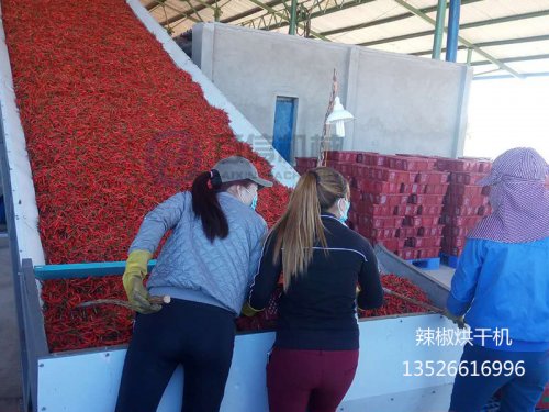 為了保持辣椒品質(zhì) 辣椒烘干溫度多少適宜？