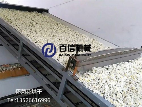  百信菊花烘干機客戶案例分享