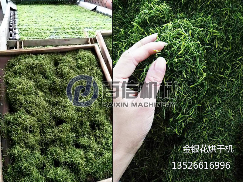 金銀花烘干機