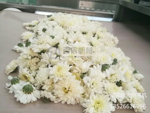 菊花烘干溫度多少合適？