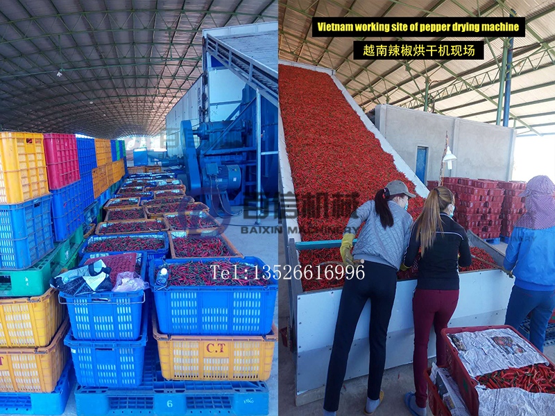 辣椒烘干機(jī)