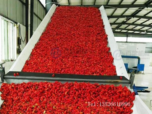 百信工業(yè)辣椒烘干機 助力增收致富  
