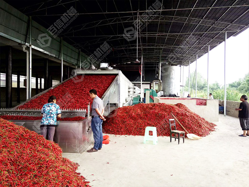 辣椒烘干機