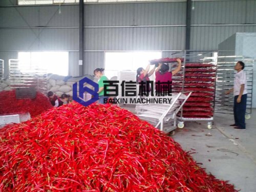 辣椒烘干機的種類有哪些？