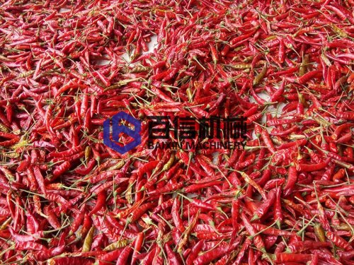 網(wǎng)帶式辣椒烘干機(jī)效果如何？