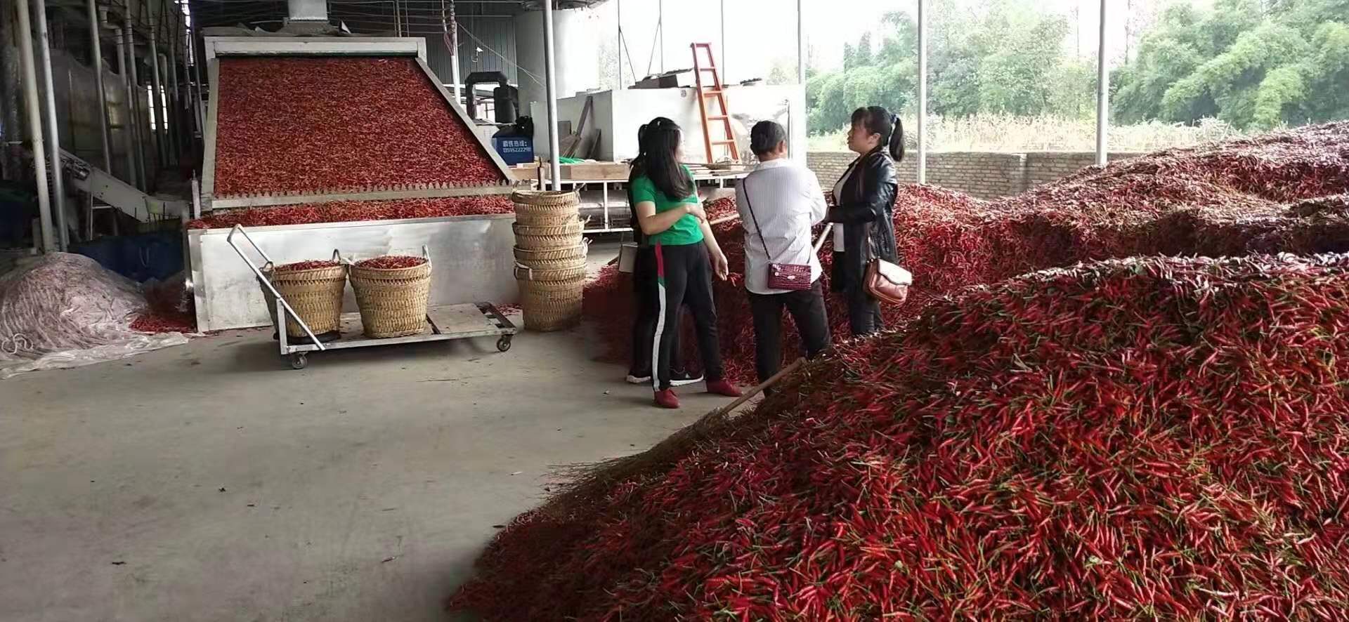 辣椒烘干機(jī)