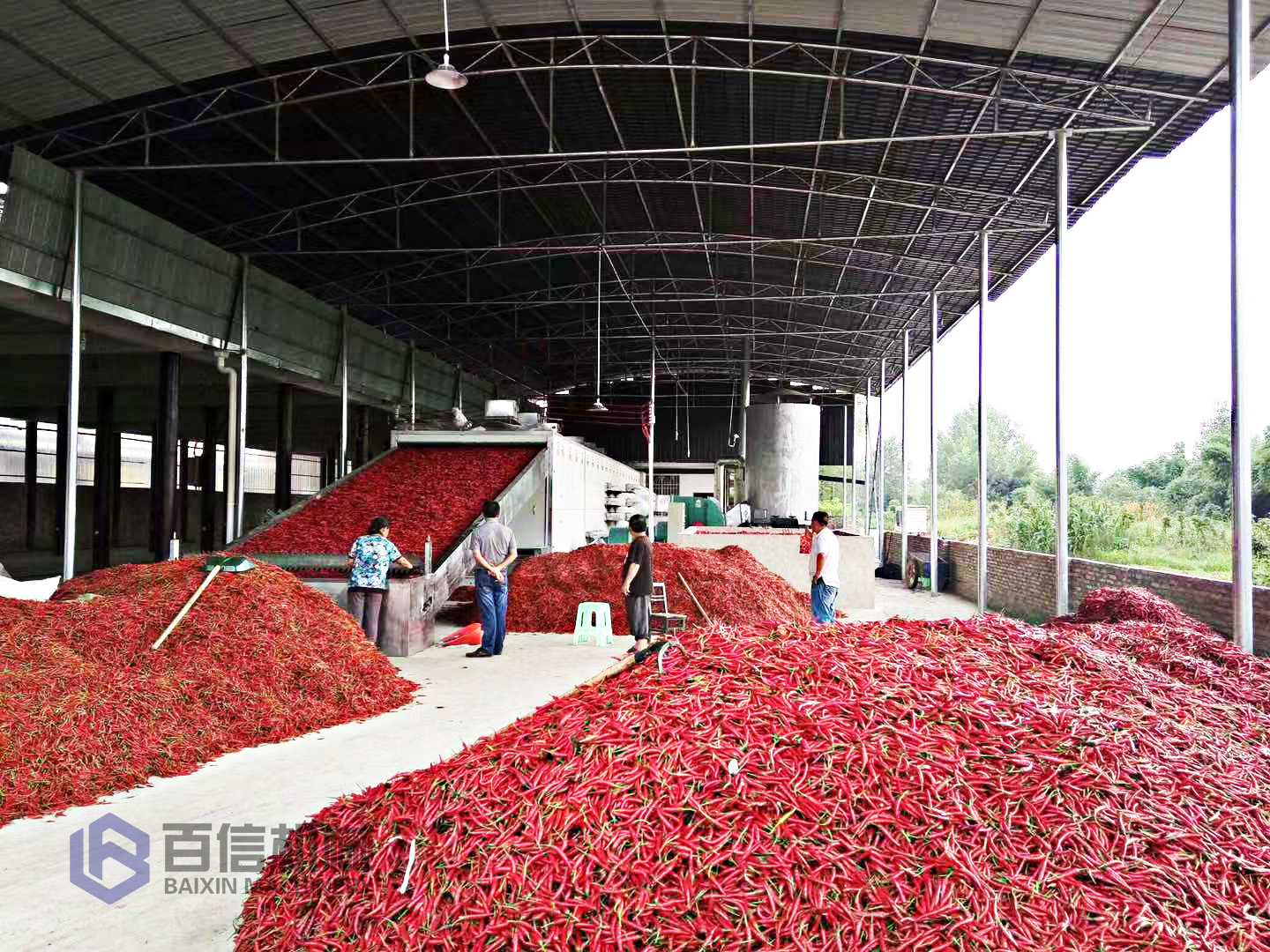 辣椒烘干機(jī)