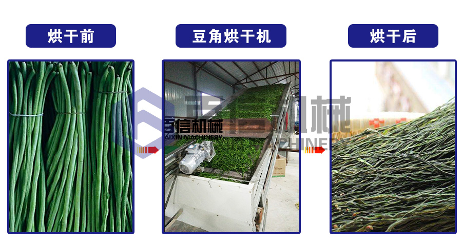 豆角烘干機(jī)