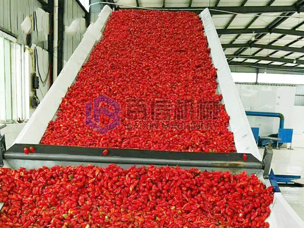 大型辣椒烘干機