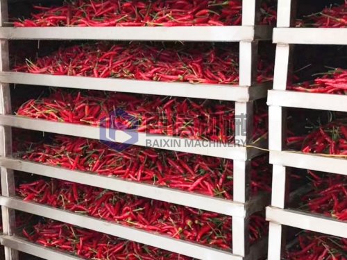 辣椒烘干市場前景好嗎？投資辣椒烘干機(jī)需要注意什么問題？