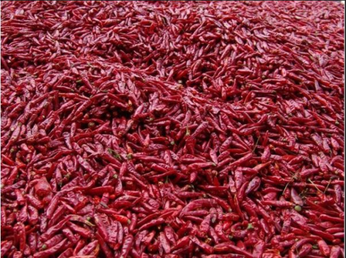 為什么辣椒烘干機(jī)是辣椒干燥生產(chǎn)線的核心？