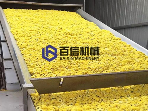 網(wǎng)帶式烘干機烘干花類有哪些優(yōu)勢？