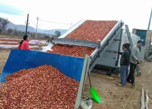 日處理1000到10000公斤辣椒烘干機(jī)價(jià)錢都是多少？