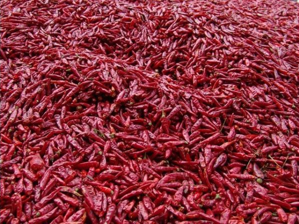 辣椒烘干機(jī)