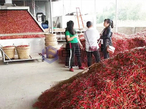 投資辣椒烘干機(jī)有多大利潤(rùn)？