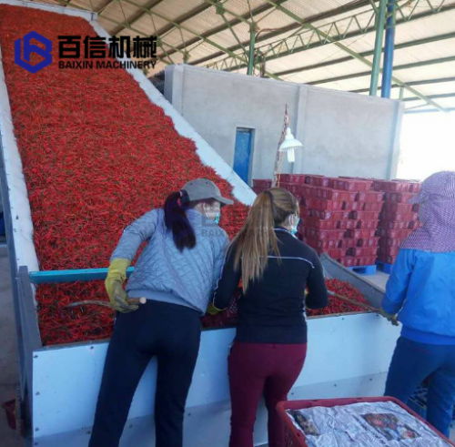 山西辣椒烘干機(jī)市場(chǎng)需求和辣椒種植規(guī)模分析